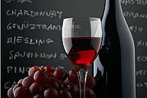 Vineyard & Wine